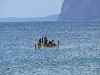 Прикрепленное изображение: 010-2.jpg